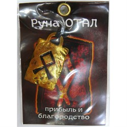 Руна Отал металлическая прибыль и благородство - фото 156766