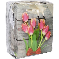 Пакет подарочный 32х45 см (20 шт/уп) из толстого картона - фото 167724