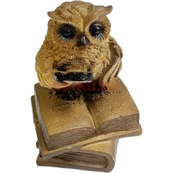 Фигурка «Сова на книгах» (С15) из полистоуна - фото 207049