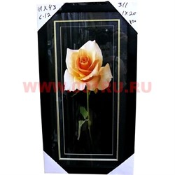 Картина в ассортименте (С11) 55х30 см, цена за 20 шт - фото 55727