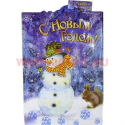 Пакет подарочный новогодний 26х32 см (рисунки в ассортименте) - фото 59957