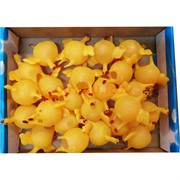 Игрушка «курица с яйцом» 24 шт/упаковка