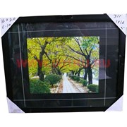 Картина в ассортименте (С10) 44х54 см, цена за 16 шт