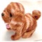 Собачка гавкающая ходячая с колокольчиком большая 12 шт/упаковка - фото 217120